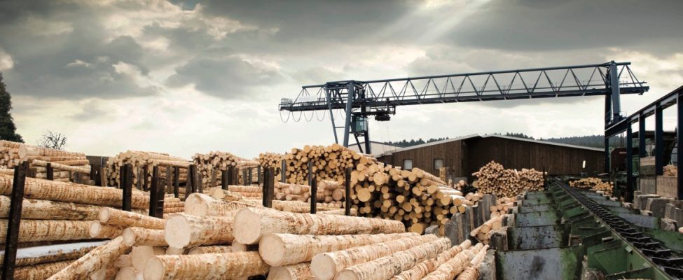 SURE doğrulama şeması