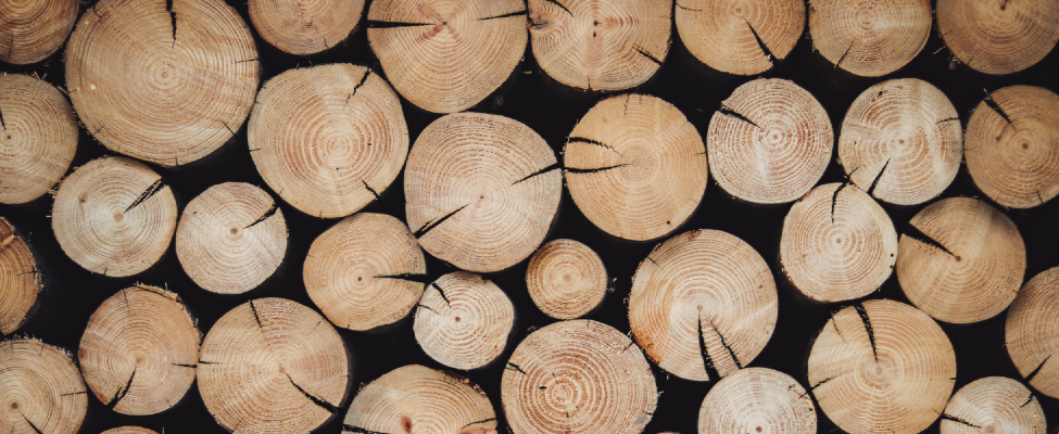 Yayınlanmış Uygunluk Beyanı