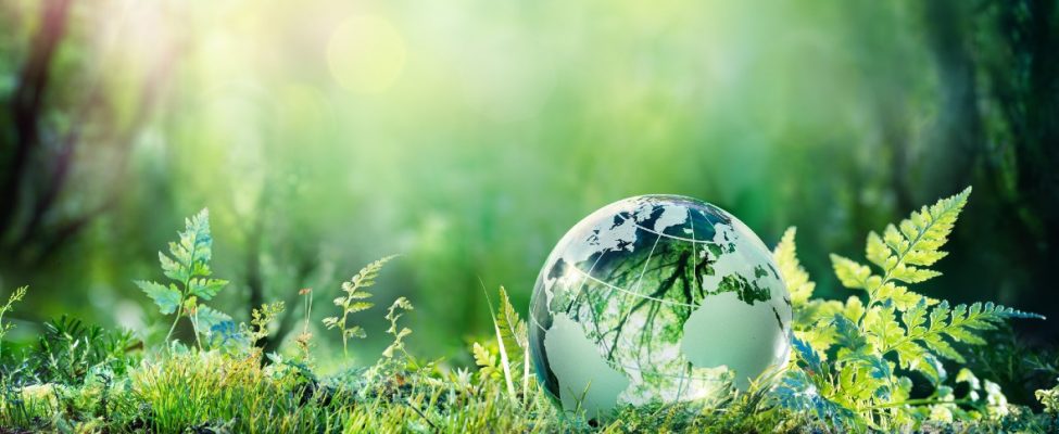 ISCC Uluslararası Sürdürülebilirlik ve Karbon Sertifikasyonu