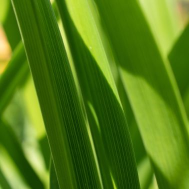 ISO 14001 Çevre Yönetim Sistemi: Daha İyi Çevresel Uygulamalara Doğru Bir Adım