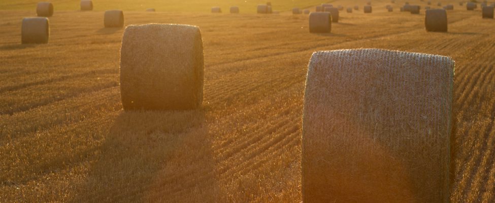 SURE doğrulama şeması