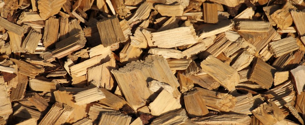 Sürdürülebilir Kaynaklar Doğrulama Programı (SURE-EU)