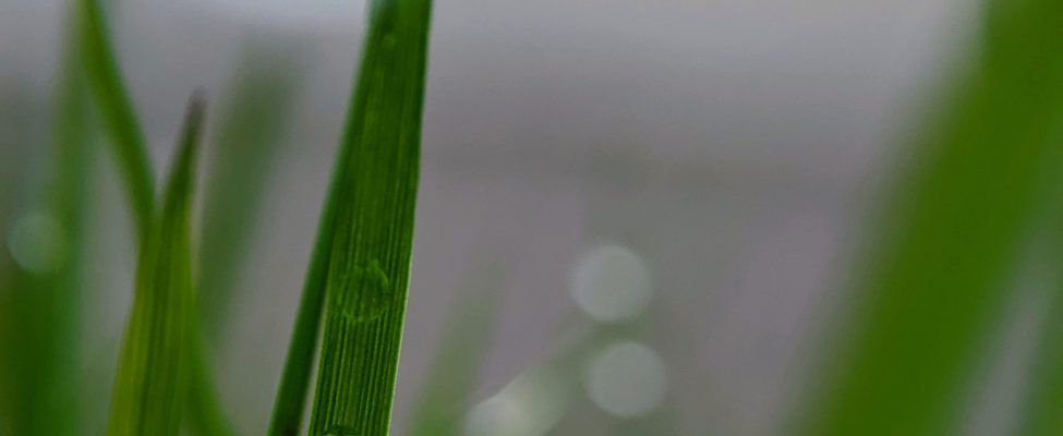 Ürün Karbon Ayakizi Doğrulaması (ISO 14067, PAS 2050)