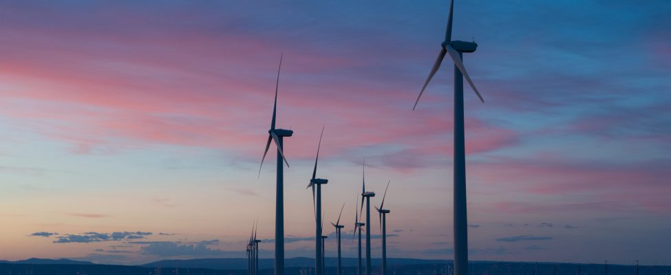 CDP Su&Karbon Doğrulaması – Karbon Saydamlık Doğrulaması