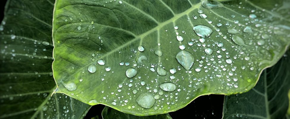 ISO 14046 Su Ayakizi Doğrulaması