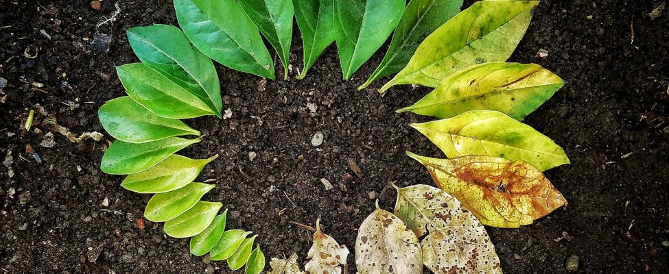 Günümüz İş Ortamında Yaşam Döngüsü Değerlendirmesinin (LCA) En Önemli Faydaları