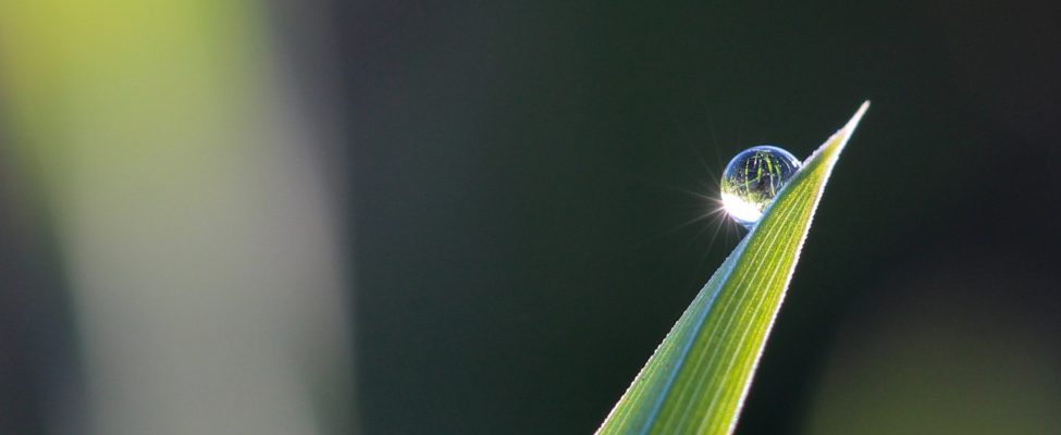 Uluslararası Standartların Gücü