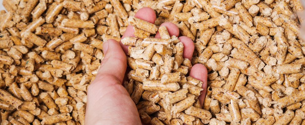 BM Certification, ENplus® Sertifikası İçin Akreditasyon Aldı